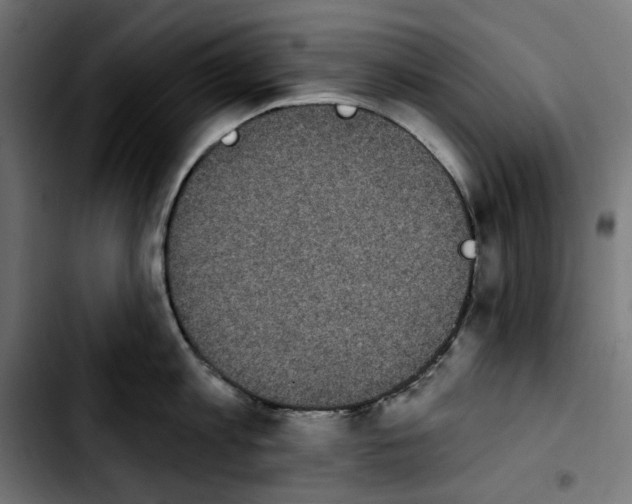 X0000103910813200810311431