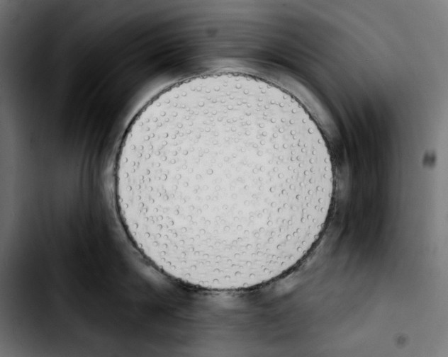 X0000103910814200810311431
