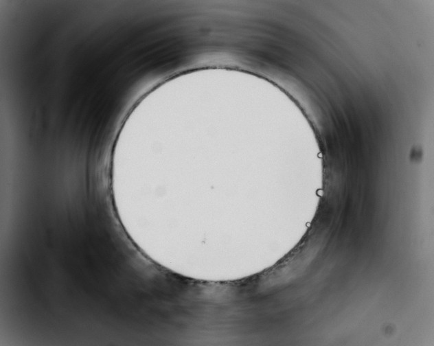 X0000103910815200810311431