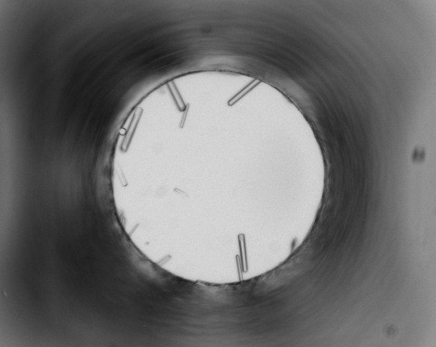 X0000103910816200810311431