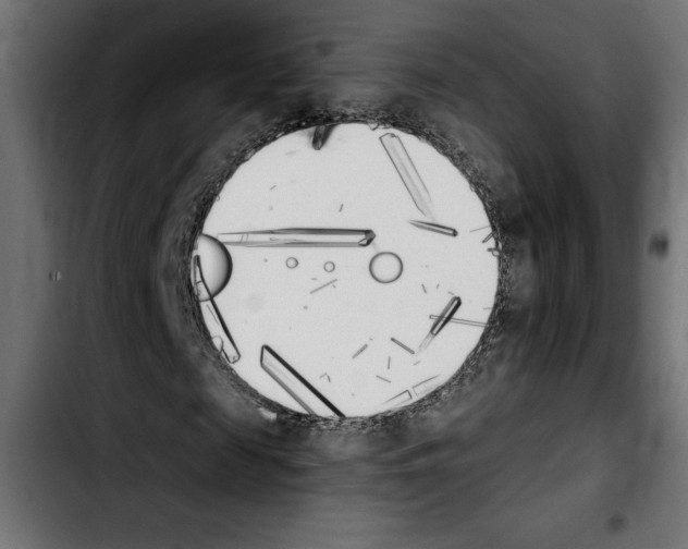 X0000103910817200810311430
