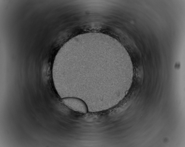X0000103910818200810311430