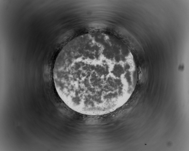 X0000103910819200810311430