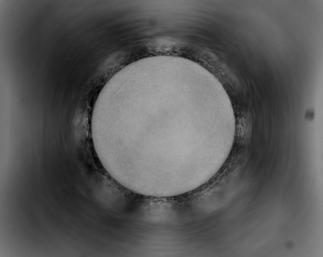 X0000103910820200810311430