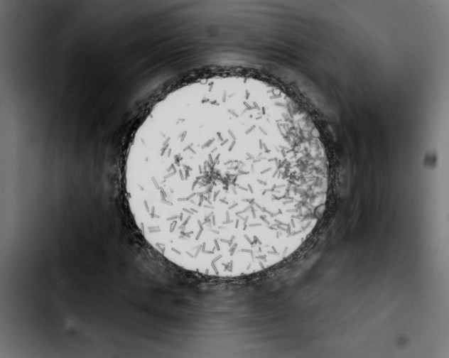 X0000103910821200810311430