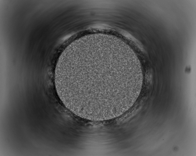 X0000103910822200810311430