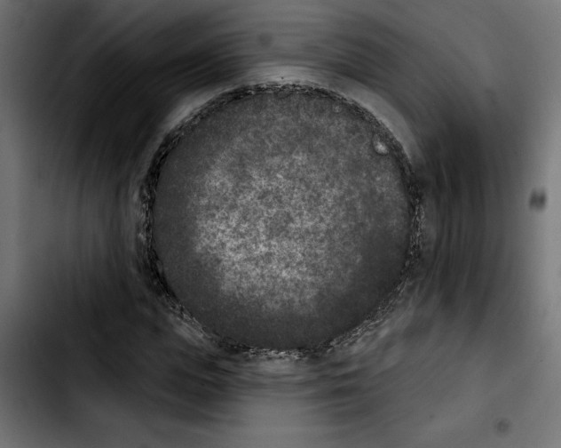 X0000103910823200810311430