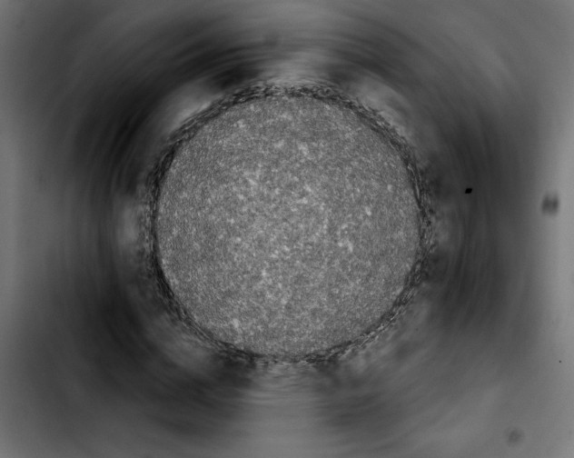 X0000103910824200810311430