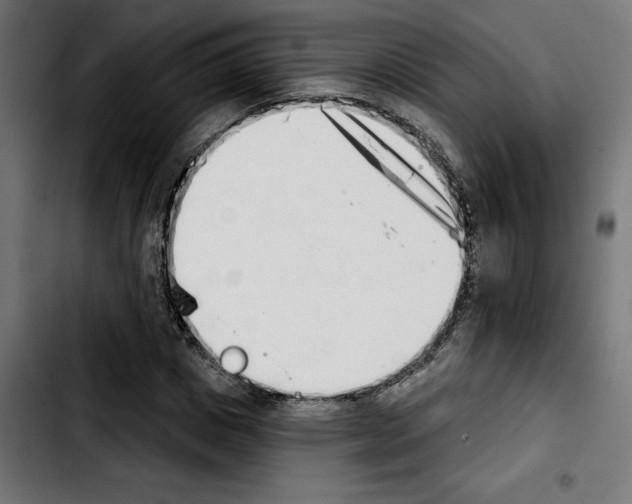 X0000103910825200810311430