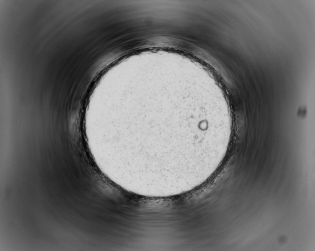 X0000103910826200810311430
