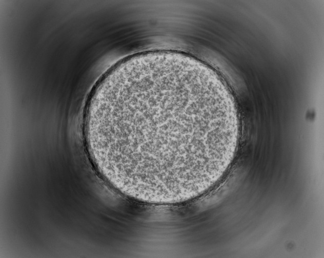 X0000103910828200810311430