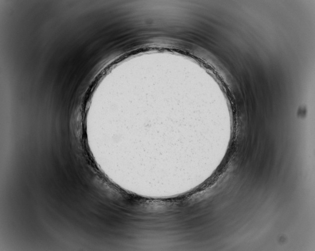 X0000103910829200810311430