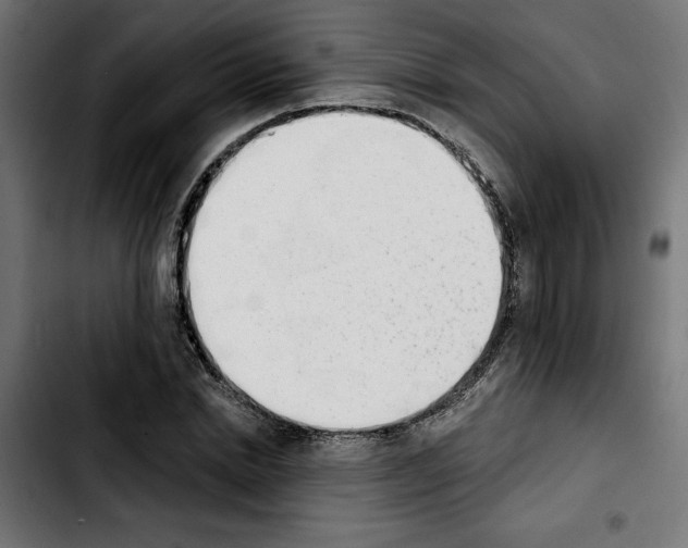 X0000103910830200810311430