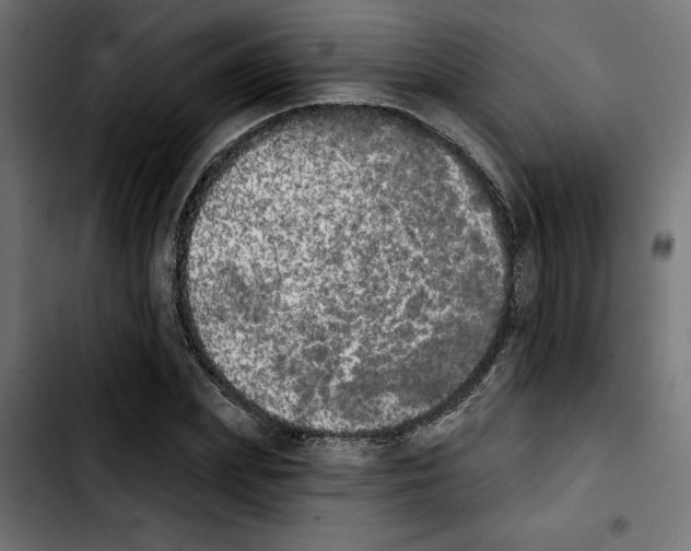 X0000103910831200810311430