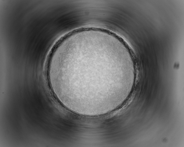 X0000103910832200810311430