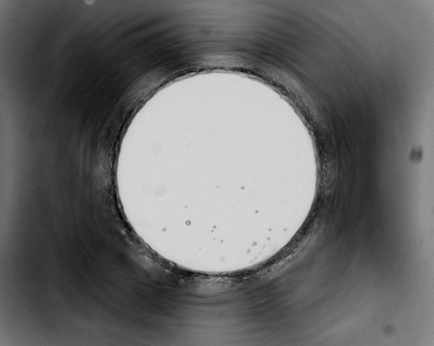X0000103910833200810311430