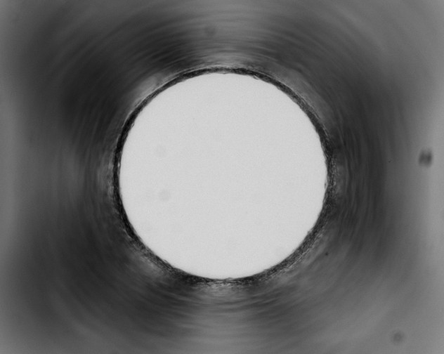 X0000103910834200810311430