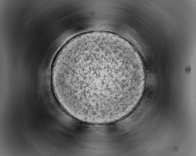 X0000103910836200810311430