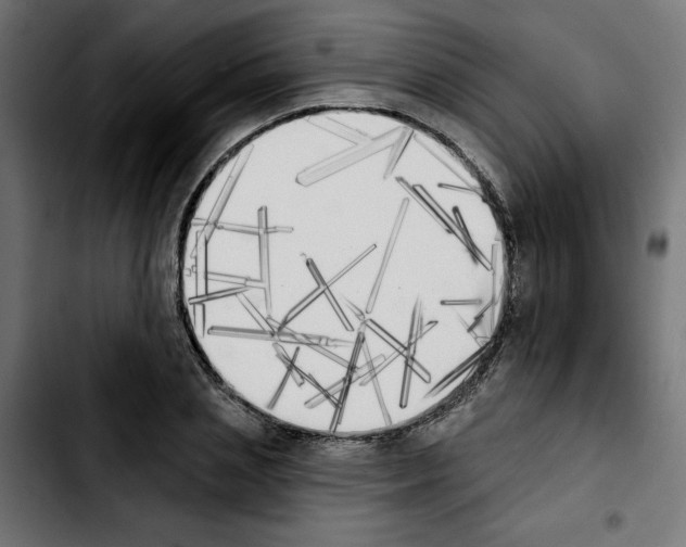 X0000103910837200810311430