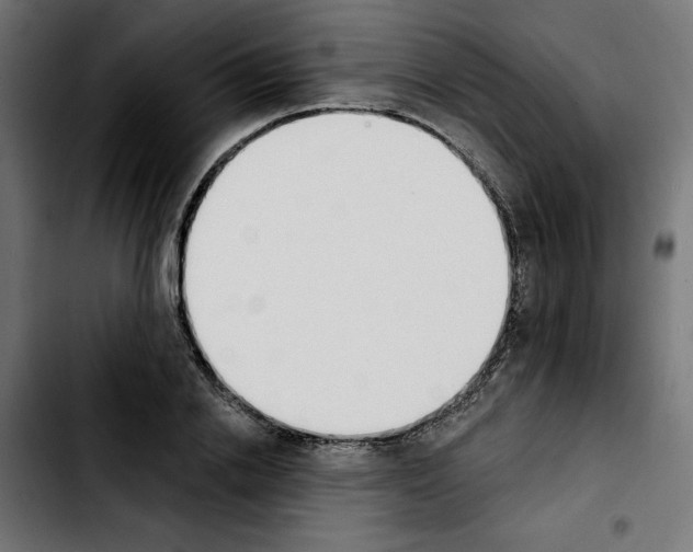 X0000103910838200810311430
