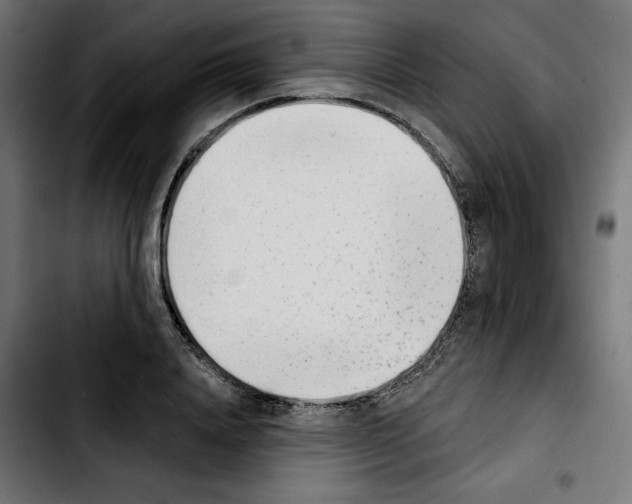 X0000103910840200810311430