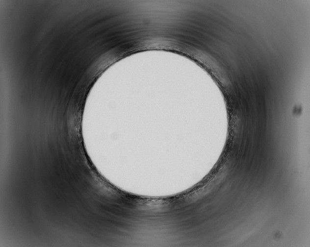 X0000103910841200810311430