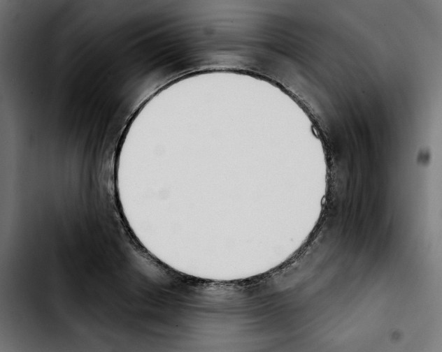 X0000103910842200810311430