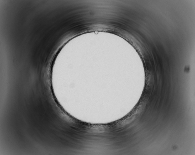 X0000103910843200810311430