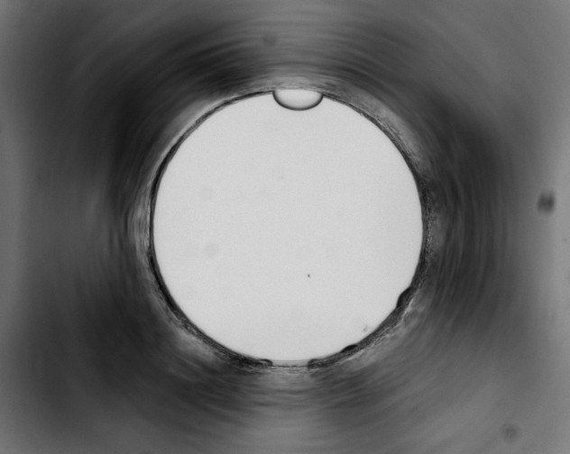 X0000103910844200810311430