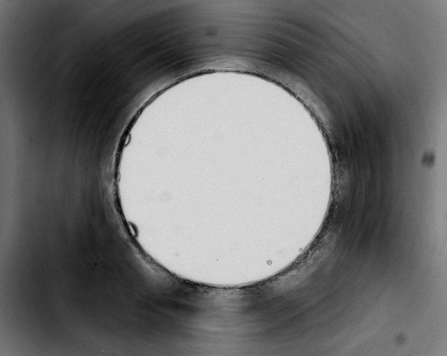 X0000103910845200810311430
