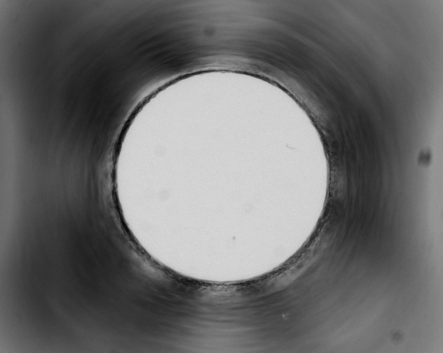 X0000103910846200810311430