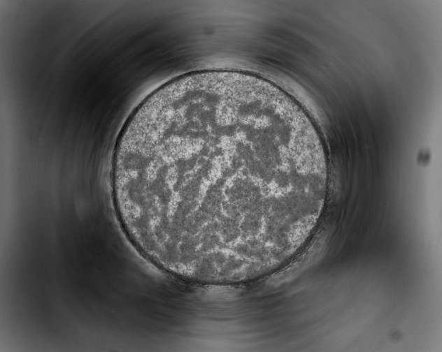 X0000103910847200810311430
