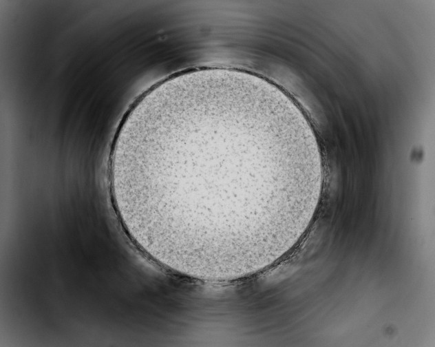 X0000103910848200810311430