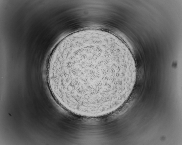 X0000103910851200810311430