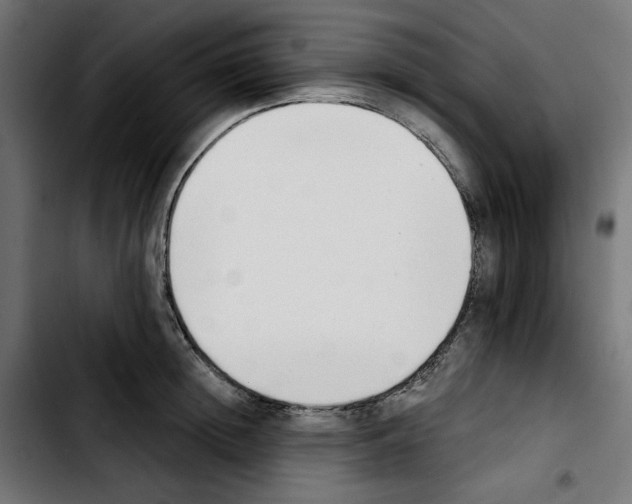 X0000103910852200810311430