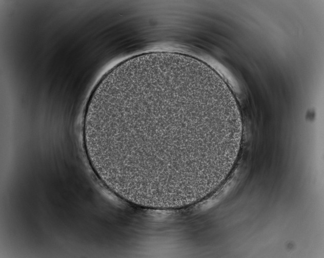 X0000103910854200810311431