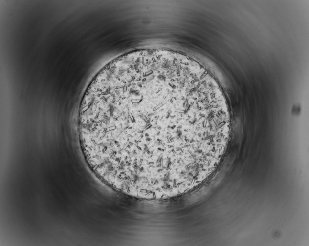 X0000103910855200810311431