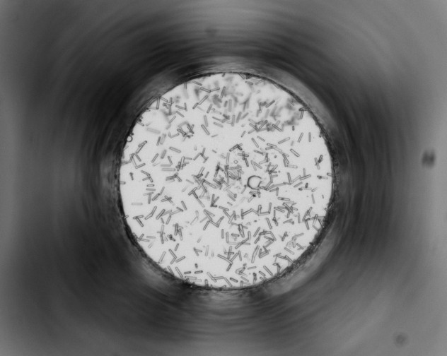 X0000103910857200810311431
