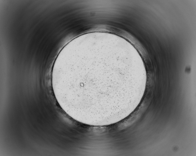 X0000103910858200810311431
