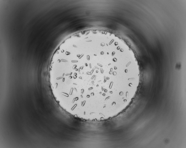 X0000103910860200810311431