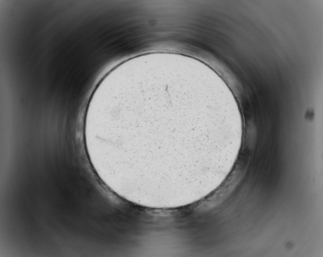 X0000103910862200810311431