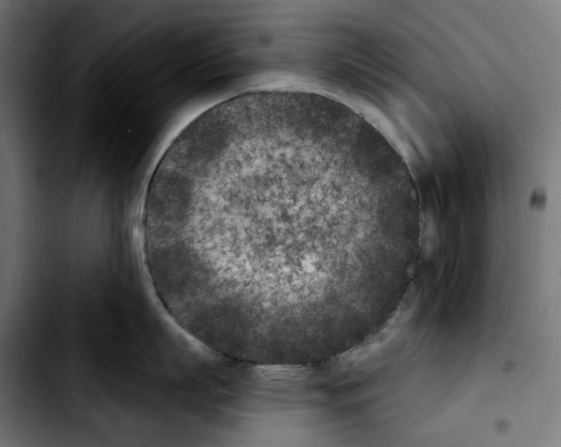 X0000103910863200810311431