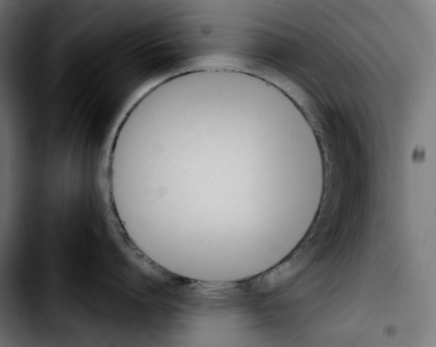 X0000103910864200810311431