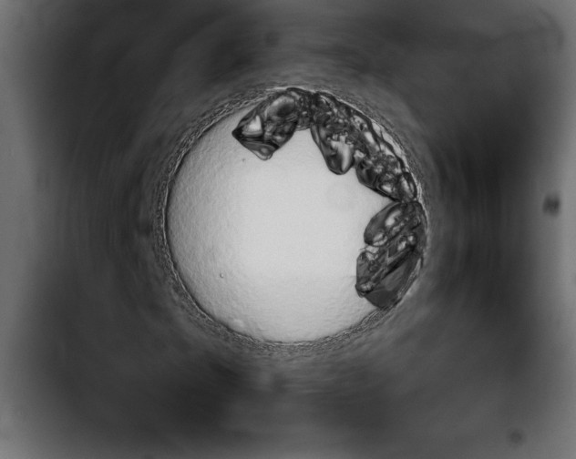 X0000103910865200810311430