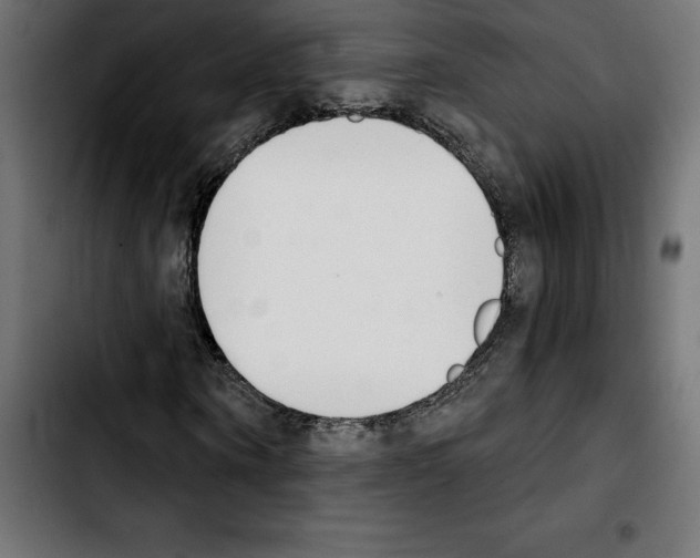 X0000103910866200810311430