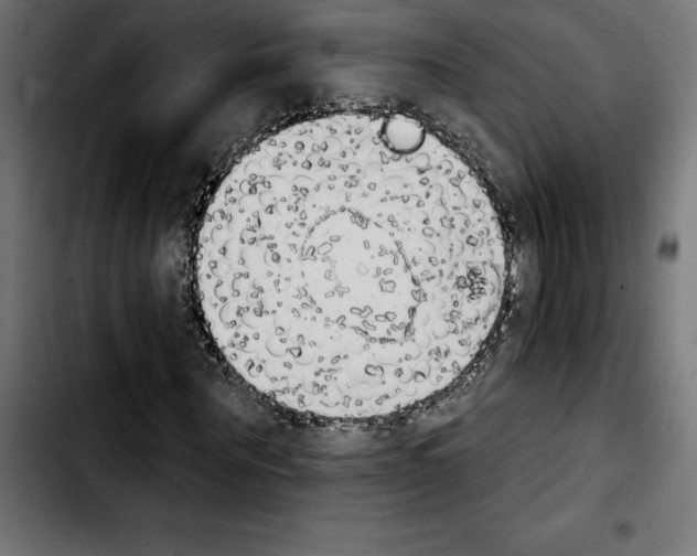 X0000103910867200810311430