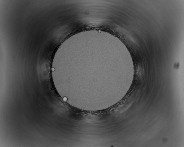 X0000103910868200810311430