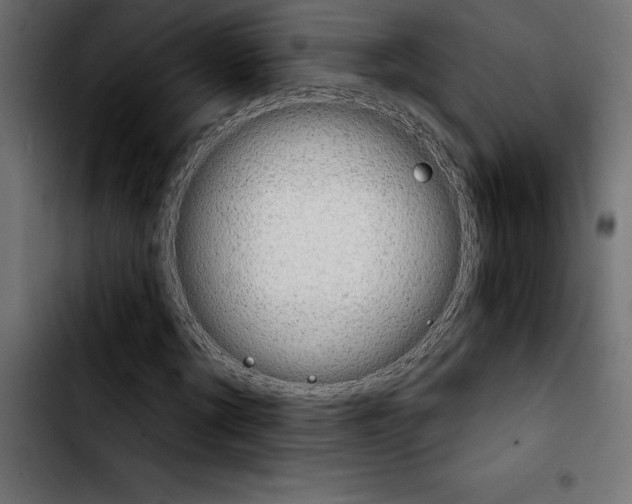 X0000103910869200810311430