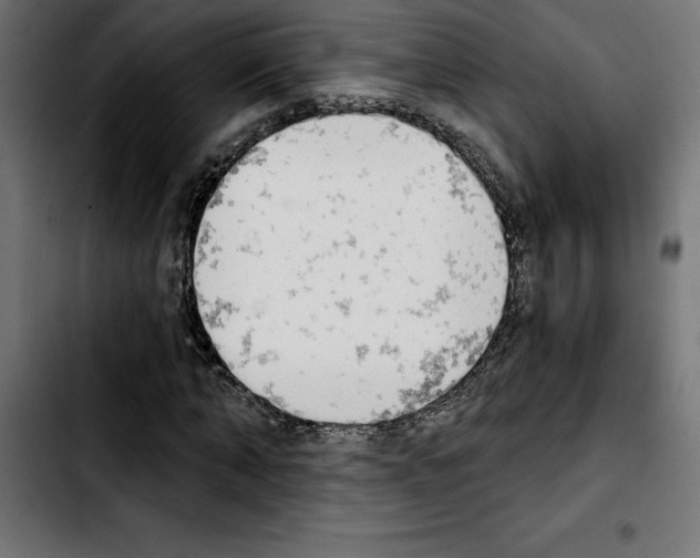 X0000103910870200810311430