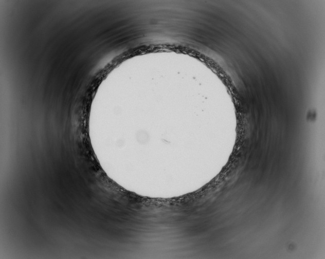 X0000103910871200810311430